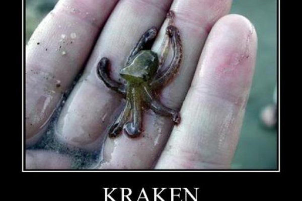 Kraken зеркало krakens13 at